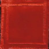 Red fabric swatch with a textured, fuzzy surface and raw edges; code “elite 307 25” visible against a dark background.